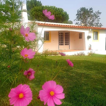 Sondela Self Catering Villa São Martinho do Porto Kültér fotó