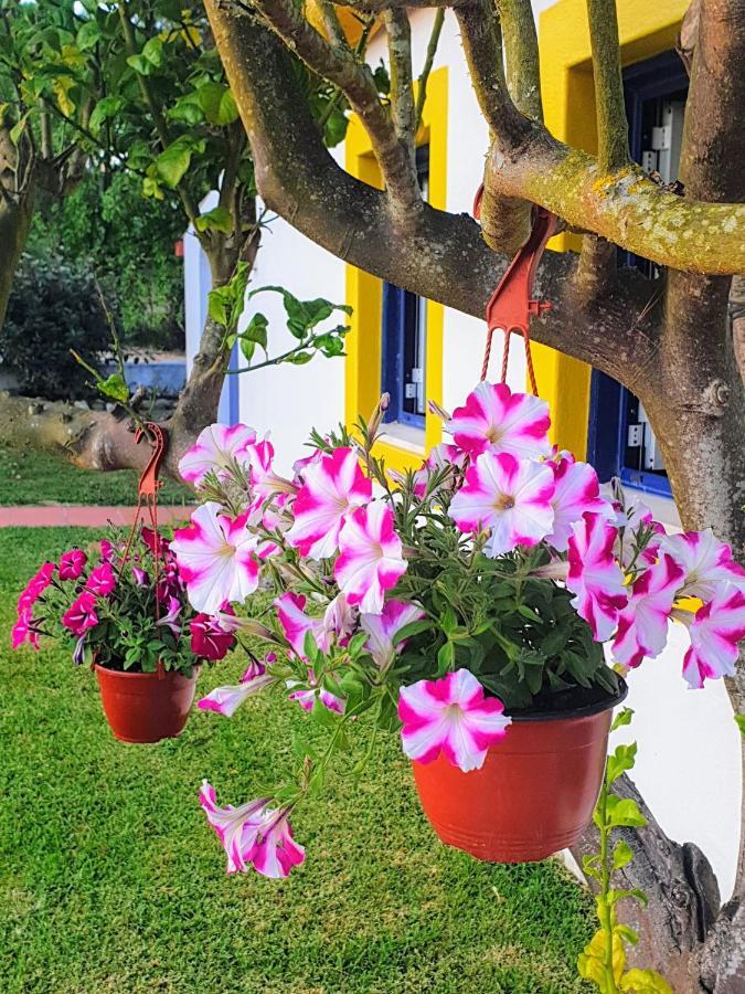 Sondela Self Catering Villa São Martinho do Porto Kültér fotó