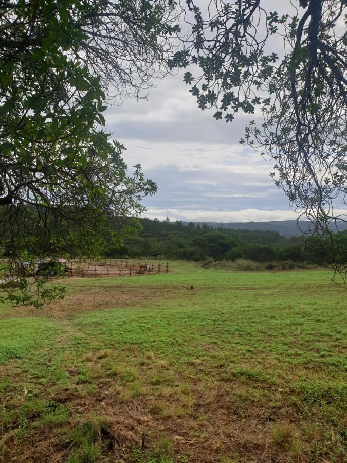Sondela Self Catering Villa São Martinho do Porto Kültér fotó