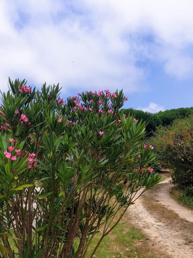 Sondela Self Catering Villa São Martinho do Porto Kültér fotó