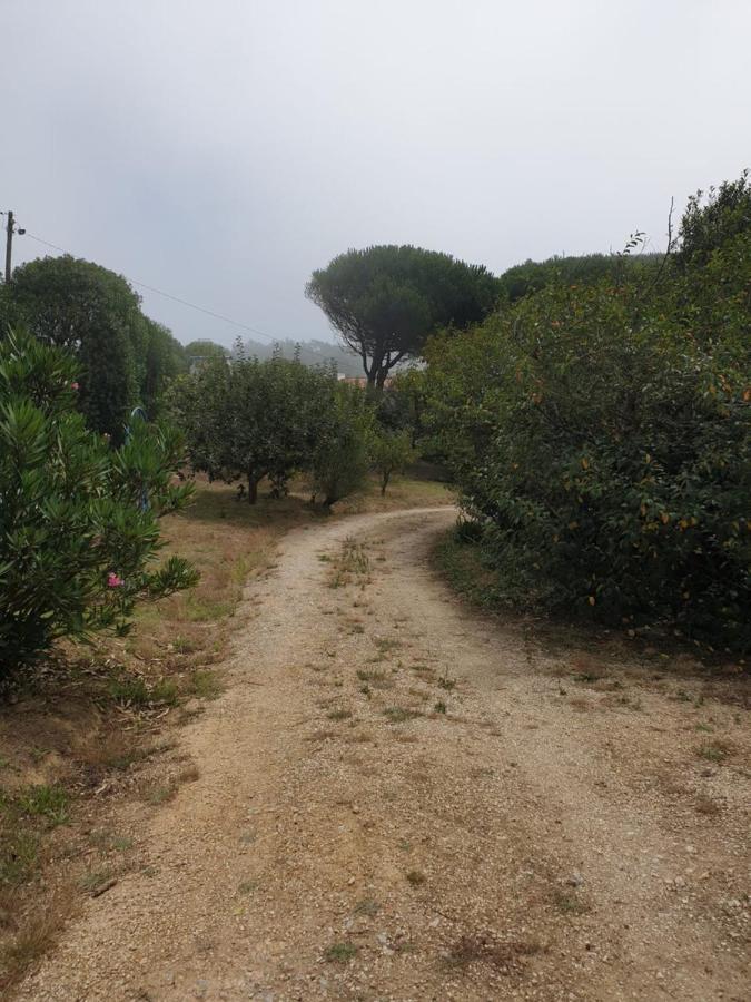 Sondela Self Catering Villa São Martinho do Porto Kültér fotó